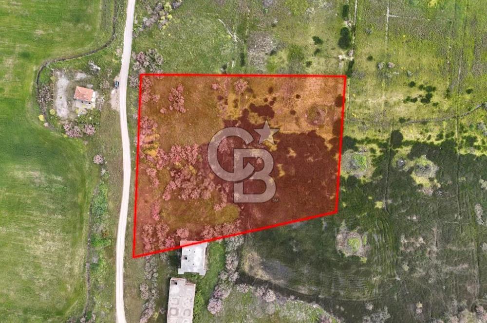 Yalova Çiftlikköy'de Satılık Sanayi İmarlı Arsa - 8158 m²