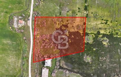 Yalova Çiftlikköy'de Satılık Sanayi İmarlı Arsa - 8158 m²