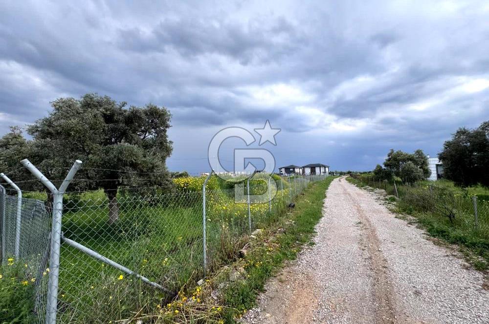 MİLAS ÖREN 'DE VİLLA İMARLI 2332 M2 PROJEYE HAZIR YOLU AÇIK ARSA