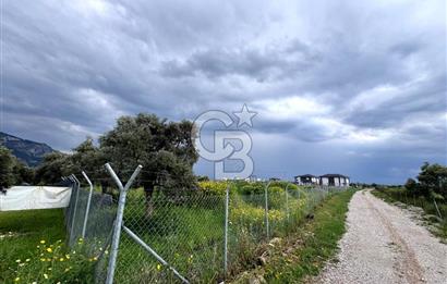 MİLAS ÖREN 'DE VİLLA İMARLI 2332 M2 PROJEYE HAZIR YOLU AÇIK ARSA
