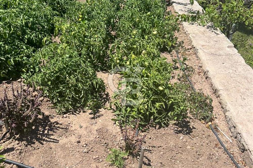 Babakale Aklimanda Denize Yakın 250 m2 Satılık Lüks Villa