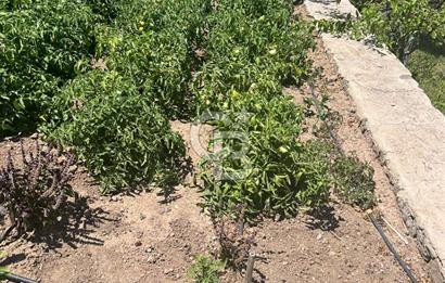 Babakale Aklimanda Denize Yakın 250 m2 Satılık Lüks Villa