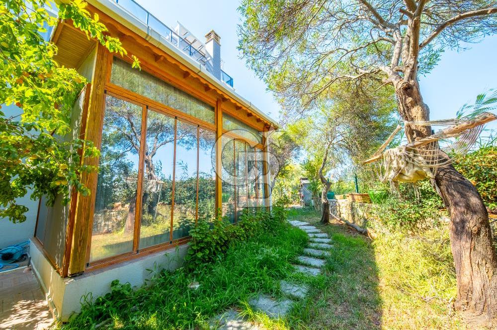 TEOS MARİNAYA YÜRÜME MESAFESİNDE TAM MÜSTAKİL 4+1 VİLLA
