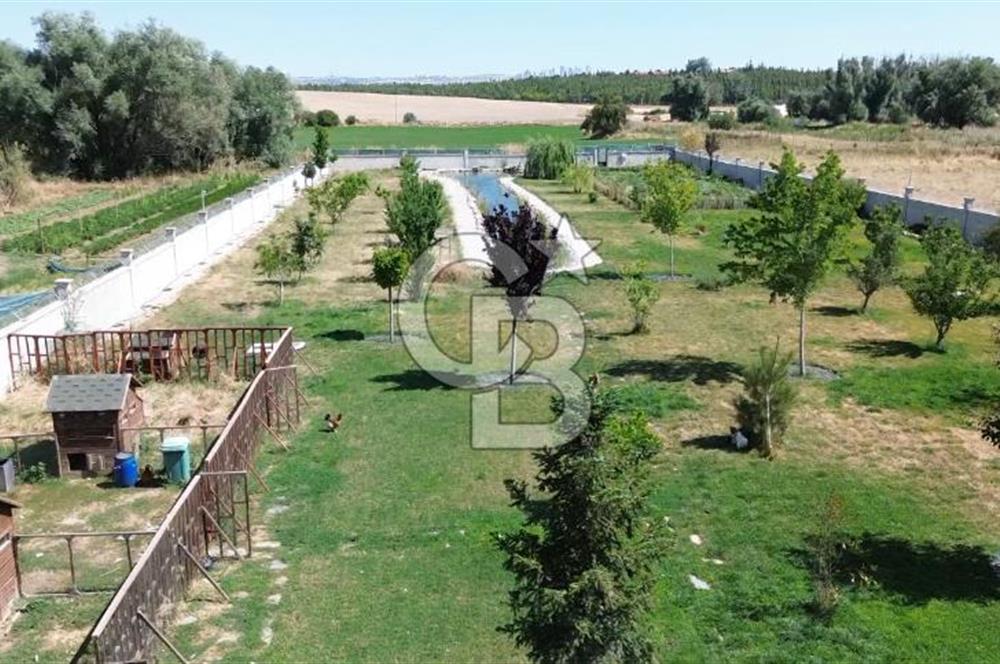GÖLBAŞI BALLIKPINAR'DA ÇELİK KONSTRÜKSİYONLU GÖLETLİ ÇİFTLİK EVİ