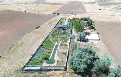 GÖLBAŞI BALLIKPINAR'DA ÇELİK KONSTRÜKSİYONLU GÖLETLİ ÇİFTLİK EVİ