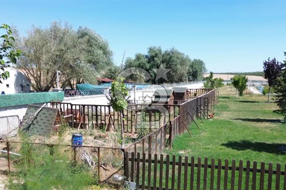 GÖLBAŞI BALLIKPINAR'DA ÇELİK KONSTRÜKSİYONLU GÖLETLİ ÇİFTLİK EVİ