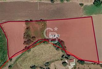 Muğla Milas Kuzyaka'da 9.200 m² Tarla İçerisinde 16/96 Hisseli Satılık Tarla Payı - 1 - 364089
