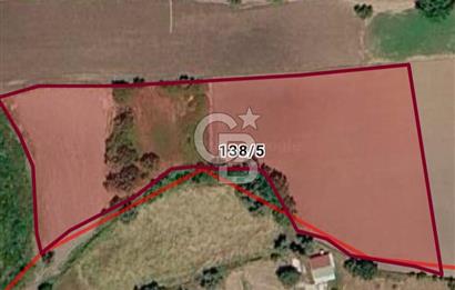 Muğla Milas Kuzyaka'da 9.200 m² Tarla İçerisinde 16/96 Hisseli Satılık Tarla Payı