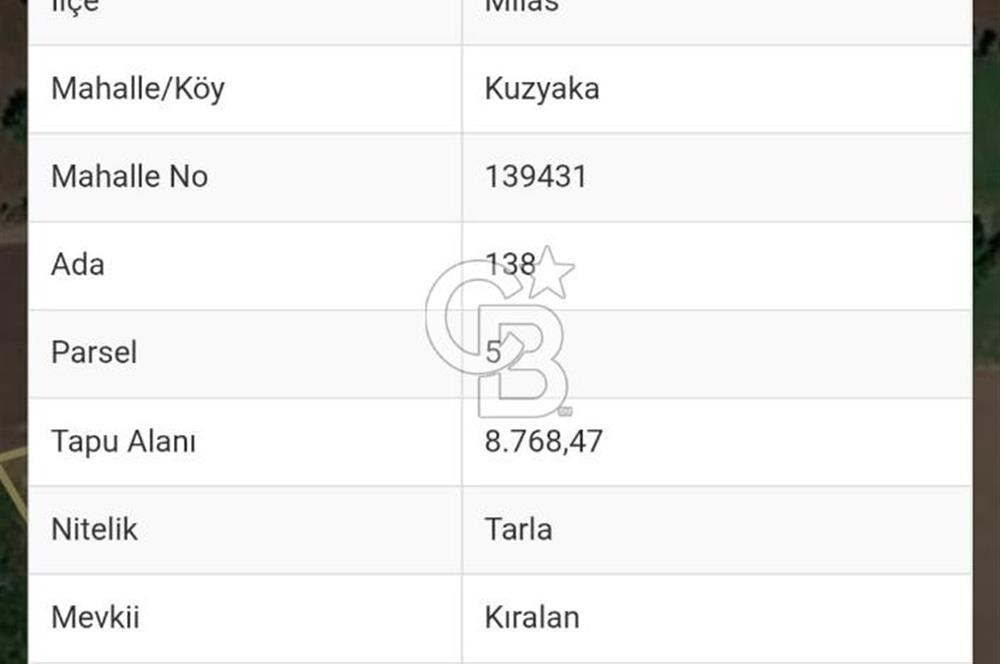 Muğla Milas Kuzyaka'da 9.200 m² Tarla İçerisinde 16/96 Hisseli Satılık Tarla Payı