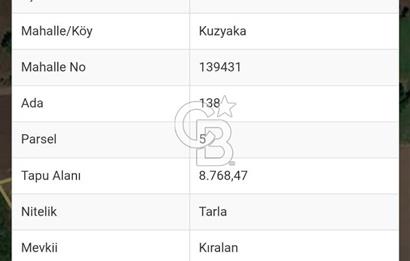 Muğla Milas Kuzyaka'da 9.200 m² Tarla İçerisinde 16/96 Hisseli Satılık Tarla Payı