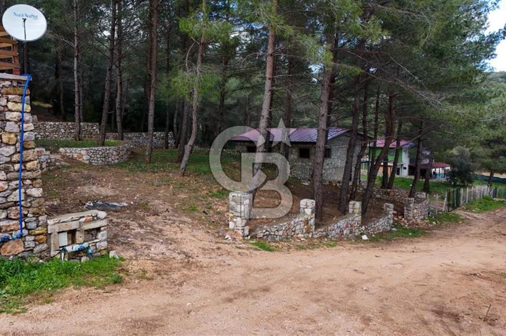 Urla Zeytinlerde Bir Dönüm Site İçi Satılık Arsa