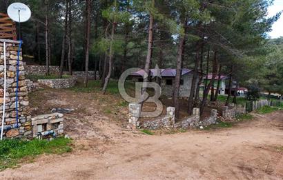Urla Zeytinlerde Bir Dönüm Site İçi Satılık Arsa