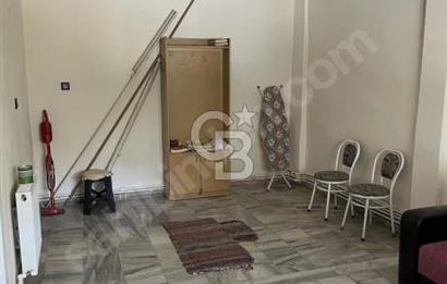 doğa içinde müstakil yaşam