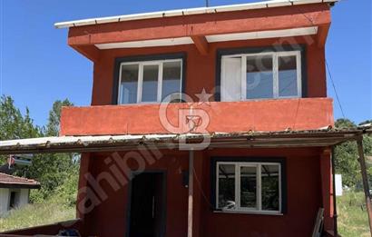 doğa içinde müstakil yaşam
