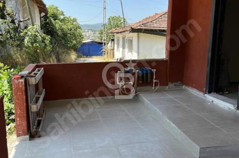 doğa içinde müstakil yaşam