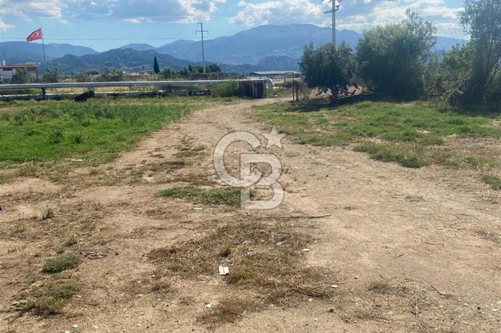 MANİSA ALAŞEHİR'DE 37.649 M² SATILIK ÇİFTLİK
