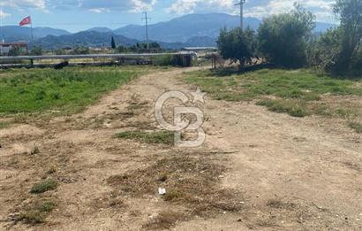 MANİSA ALAŞEHİR'DE 37.649 M² SATILIK ÇİFTLİK