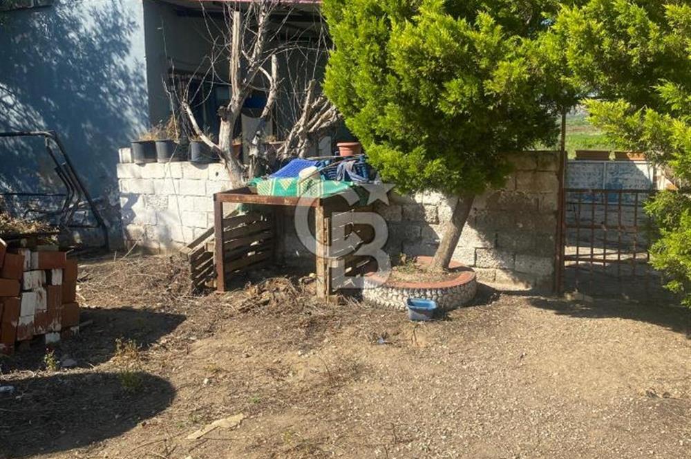 MANİSA ALAŞEHİR'DE 37.649 M² SATILIK ÇİFTLİK