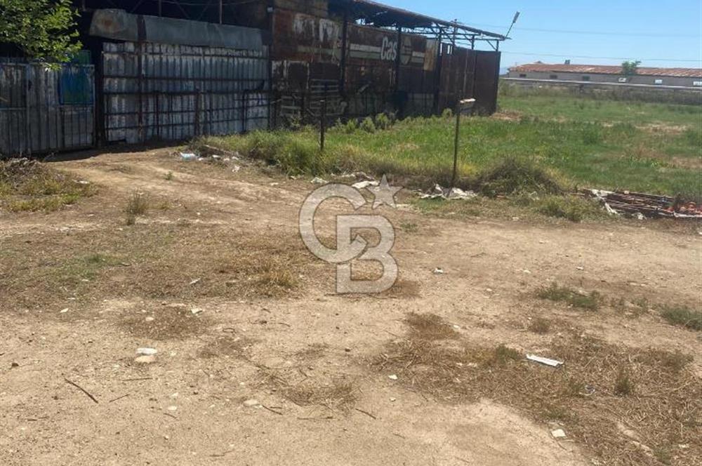 MANİSA ALAŞEHİR'DE 37.649 M² SATILIK ÇİFTLİK