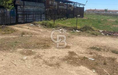MANİSA ALAŞEHİR'DE 37.649 M² SATILIK ÇİFTLİK