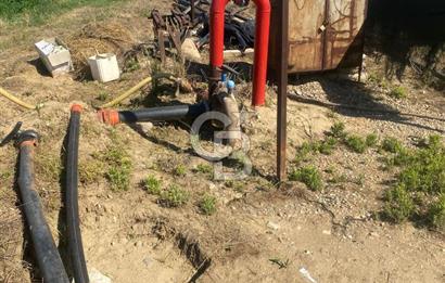 MANİSA ALAŞEHİR'DE 37.649 M² SATILIK ÇİFTLİK