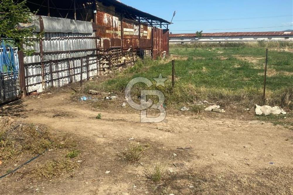 MANİSA ALAŞEHİR'DE 37.649 M² SATILIK ÇİFTLİK