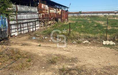 MANİSA ALAŞEHİR'DE 37.649 M² SATILIK ÇİFTLİK