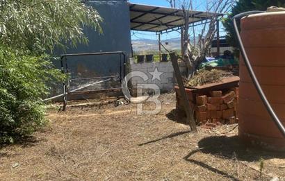 MANİSA ALAŞEHİR'DE 37.649 M² SATILIK ÇİFTLİK