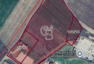 MANİSA ALAŞEHİR'DE 37.649 M² SATILIK ÇİFTLİK - 1 - 364117