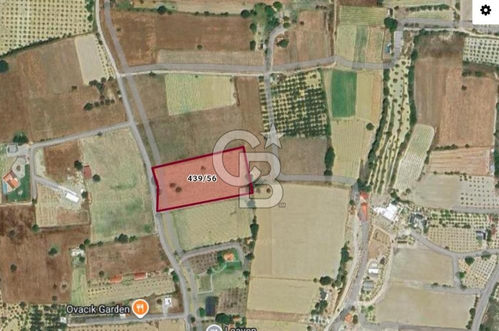 ÇEŞME MUSALLA'DA SATILIK 7.458 m² DEĞERLİ TARLA, 7,458 m² VALUABLE LAND FOR SALE IN ÇEŞME MUSALLA.