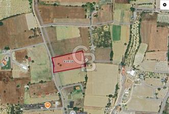 ÇEŞME MUSALLA'DA SATILIK 7.458 m² DEĞERLİ TARLA, 7,458 m² VALUABLE LAND FOR SALE IN ÇEŞME MUSALLA. - 2 - 364120