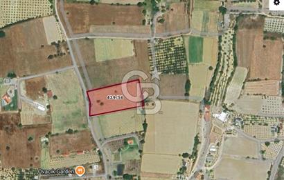 ÇEŞME MUSALLA'DA SATILIK 7.458 m² DEĞERLİ TARLA, 7,458 m² VALUABLE LAND FOR SALE IN ÇEŞME MUSALLA.