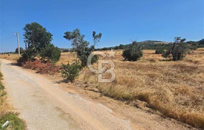 ÇEŞME MUSALLA'DA SATILIK 7.458 m² DEĞERLİ TARLA, 7,458 m² VALUABLE LAND FOR SALE IN ÇEŞME MUSALLA.