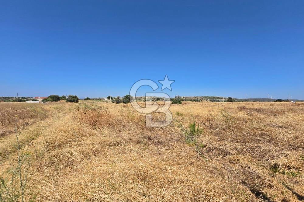 ÇEŞME MUSALLA'DA SATILIK 7.458 m² DEĞERLİ TARLA, 7,458 m² VALUABLE LAND FOR SALE IN ÇEŞME MUSALLA.