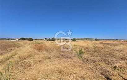 ÇEŞME MUSALLA'DA SATILIK 7.458 m² DEĞERLİ TARLA, 7,458 m² VALUABLE LAND FOR SALE IN ÇEŞME MUSALLA.
