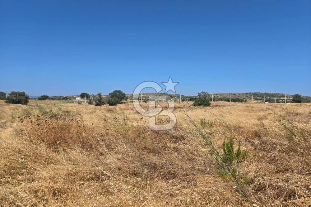 ÇEŞME MUSALLA'DA SATILIK 7.458 m² DEĞERLİ TARLA, 7,458 m² VALUABLE LAND FOR SALE IN ÇEŞME MUSALLA.