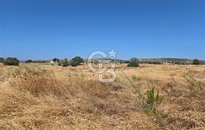 ÇEŞME MUSALLA'DA SATILIK 7.458 m² DEĞERLİ TARLA, 7,458 m² VALUABLE LAND FOR SALE IN ÇEŞME MUSALLA.