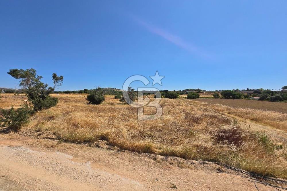 ÇEŞME MUSALLA'DA SATILIK 7.458 m² DEĞERLİ TARLA, 7,458 m² VALUABLE LAND FOR SALE IN ÇEŞME MUSALLA.