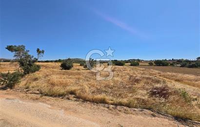 ÇEŞME MUSALLA'DA SATILIK 7.458 m² DEĞERLİ TARLA, 7,458 m² VALUABLE LAND FOR SALE IN ÇEŞME MUSALLA.