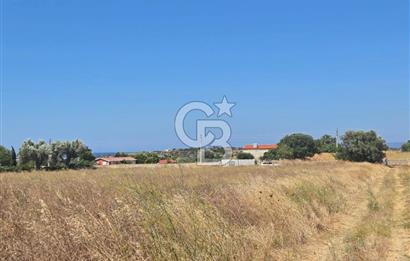 ÇEŞME MUSALLA'DA SATILIK 7.458 m² DEĞERLİ TARLA, 7,458 m² VALUABLE LAND FOR SALE IN ÇEŞME MUSALLA.