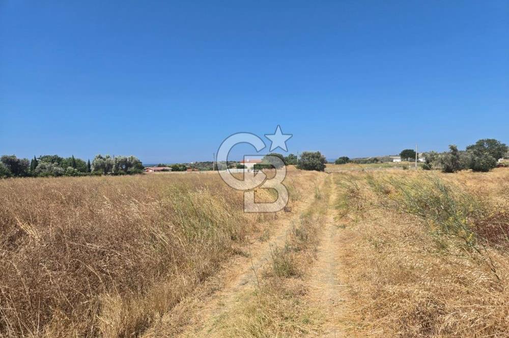 ÇEŞME MUSALLA'DA SATILIK 7.458 m² DEĞERLİ TARLA, 7,458 m² VALUABLE LAND FOR SALE IN ÇEŞME MUSALLA.