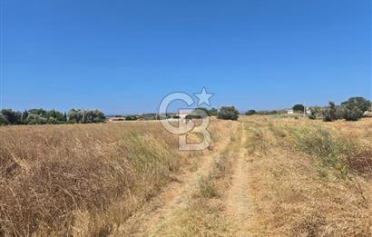 ÇEŞME MUSALLA'DA SATILIK 7.458 m² DEĞERLİ TARLA, 7,458 m² VALUABLE LAND FOR SALE IN ÇEŞME MUSALLA.