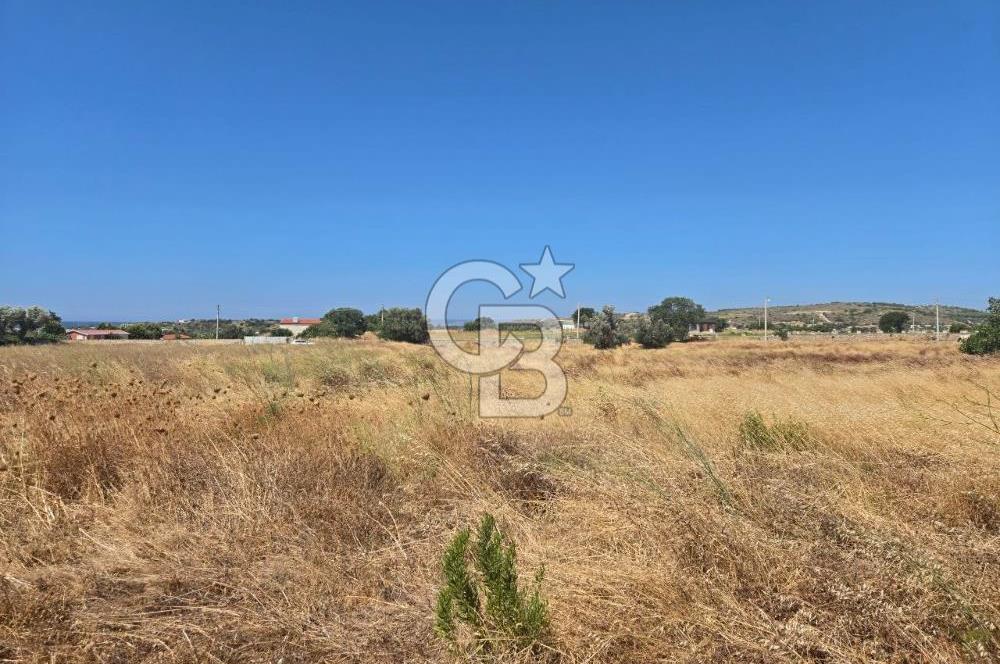 ÇEŞME MUSALLA'DA SATILIK 7.458 m² DEĞERLİ TARLA, 7,458 m² VALUABLE LAND FOR SALE IN ÇEŞME MUSALLA.
