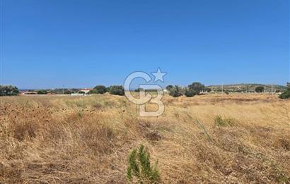 ÇEŞME MUSALLA'DA SATILIK 7.458 m² DEĞERLİ TARLA, 7,458 m² VALUABLE LAND FOR SALE IN ÇEŞME MUSALLA.
