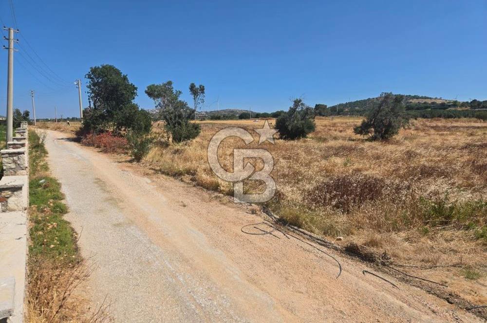 ÇEŞME MUSALLA'DA SATILIK 7.458 m² DEĞERLİ TARLA, 7,458 m² VALUABLE LAND FOR SALE IN ÇEŞME MUSALLA.