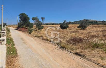 ÇEŞME MUSALLA'DA SATILIK 7.458 m² DEĞERLİ TARLA, 7,458 m² VALUABLE LAND FOR SALE IN ÇEŞME MUSALLA.