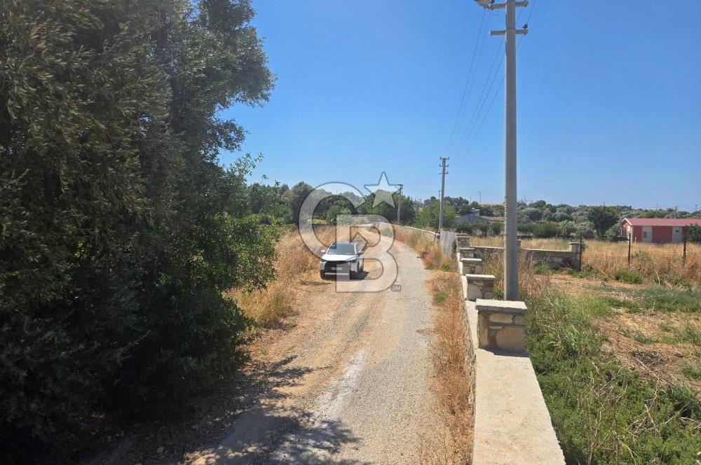 ÇEŞME MUSALLA'DA SATILIK 7.458 m² DEĞERLİ TARLA, 7,458 m² VALUABLE LAND FOR SALE IN ÇEŞME MUSALLA.