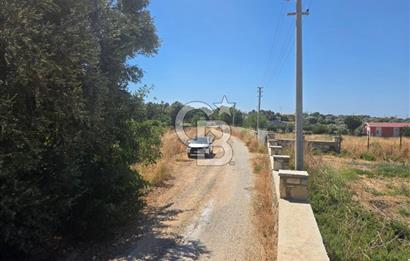 ÇEŞME MUSALLA'DA SATILIK 7.458 m² DEĞERLİ TARLA, 7,458 m² VALUABLE LAND FOR SALE IN ÇEŞME MUSALLA.