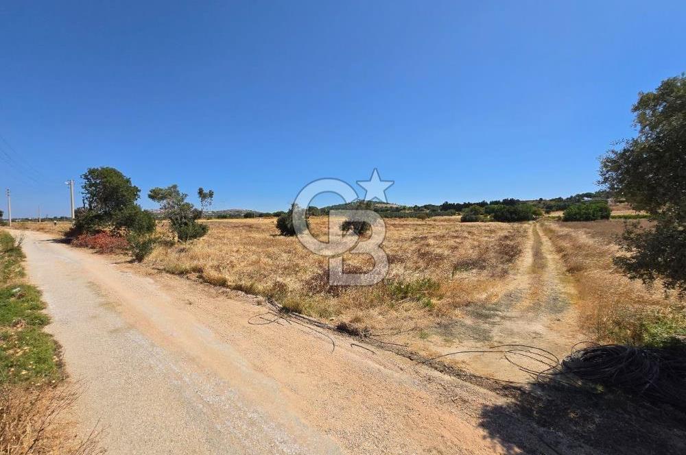 ÇEŞME MUSALLA'DA SATILIK 7.458 m² DEĞERLİ TARLA, 7,458 m² VALUABLE LAND FOR SALE IN ÇEŞME MUSALLA.