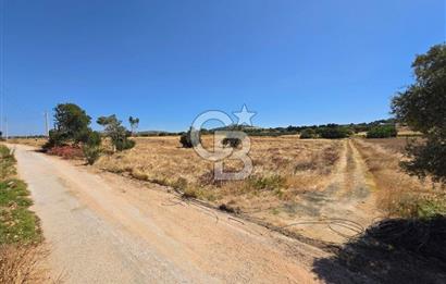 ÇEŞME MUSALLA'DA SATILIK 7.458 m² DEĞERLİ TARLA, 7,458 m² VALUABLE LAND FOR SALE IN ÇEŞME MUSALLA.